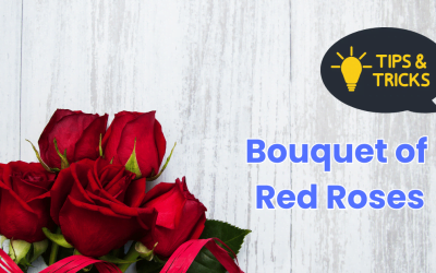 Perfect Bouquet of Red Roses for Every Occasion – Choosing the Right Rose